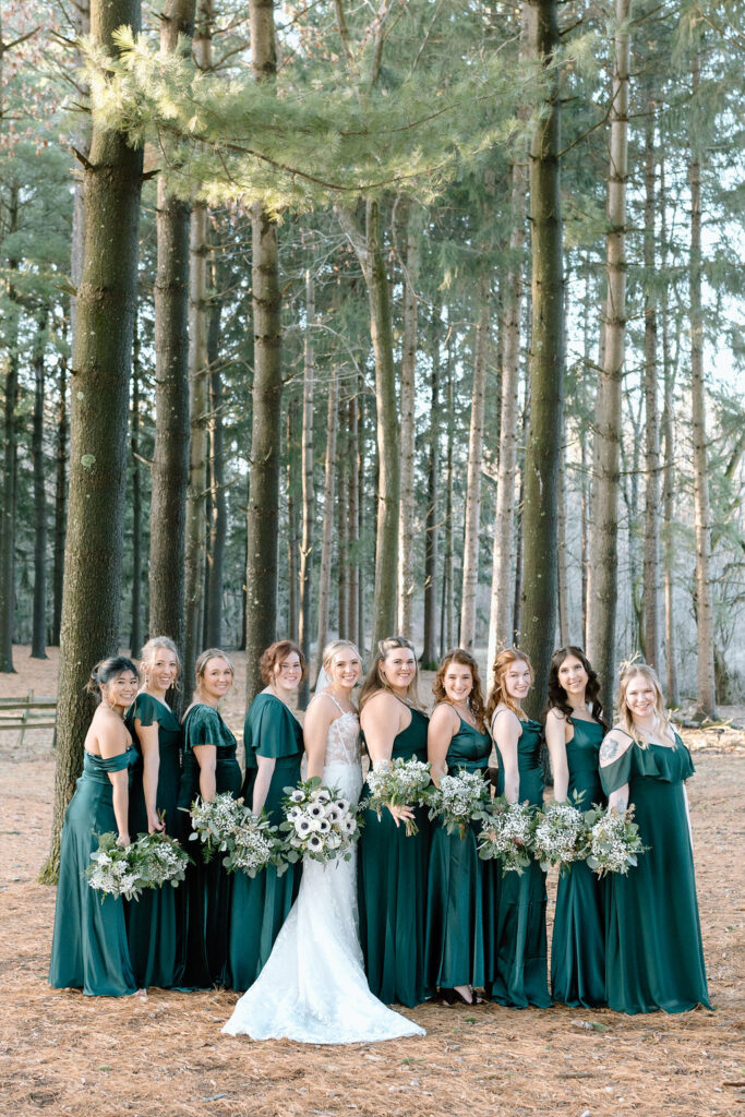 Bridal party for a winter wonderland wedding, Greenville, South Carolina