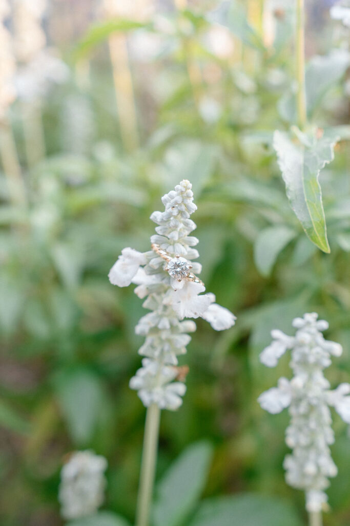 Engagement session at Furman University Gardens in Greenville, South Carolina with romantic natural light portraits
